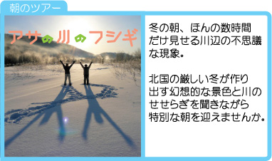 ���̐�̕s�v�c
