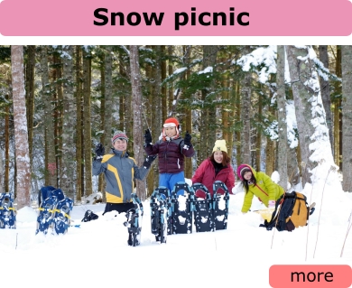 Snow Picnic