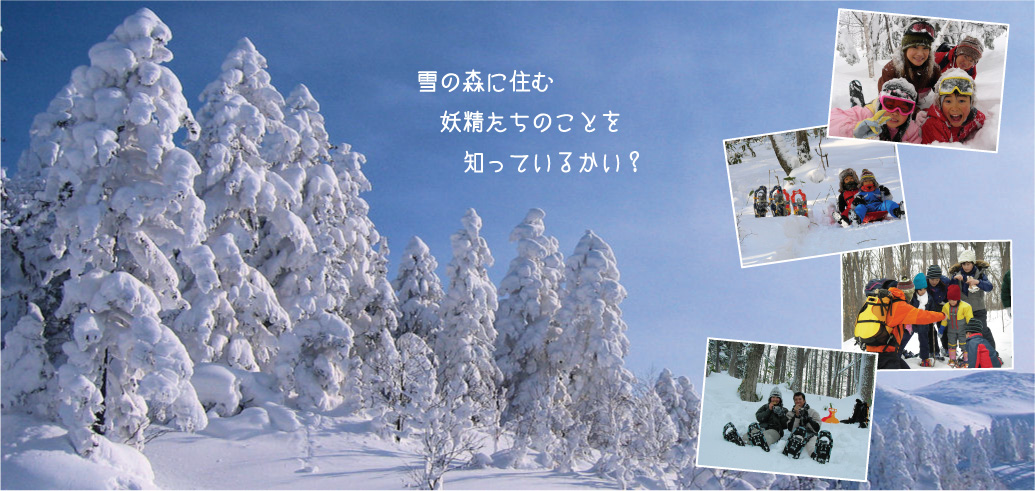 �x�ǖ�̓~��V�ڂ�